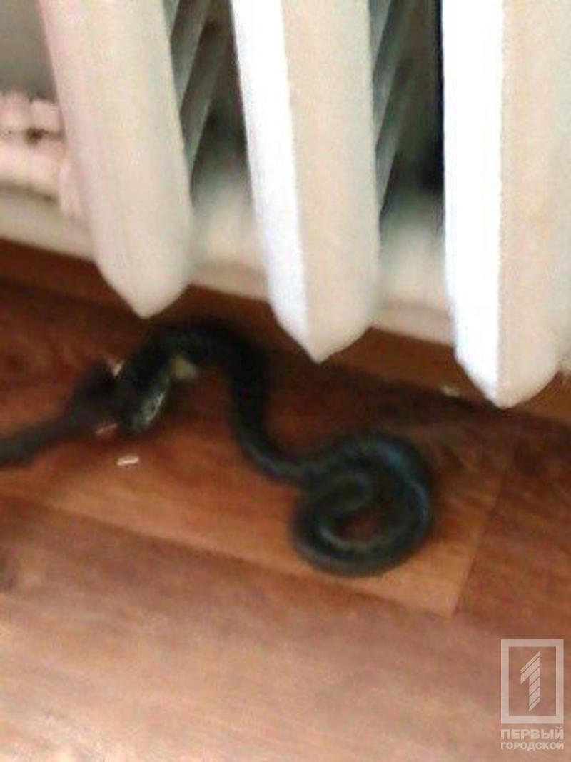 %d0%b7%d0%bc%d0%b5%d1%8f1