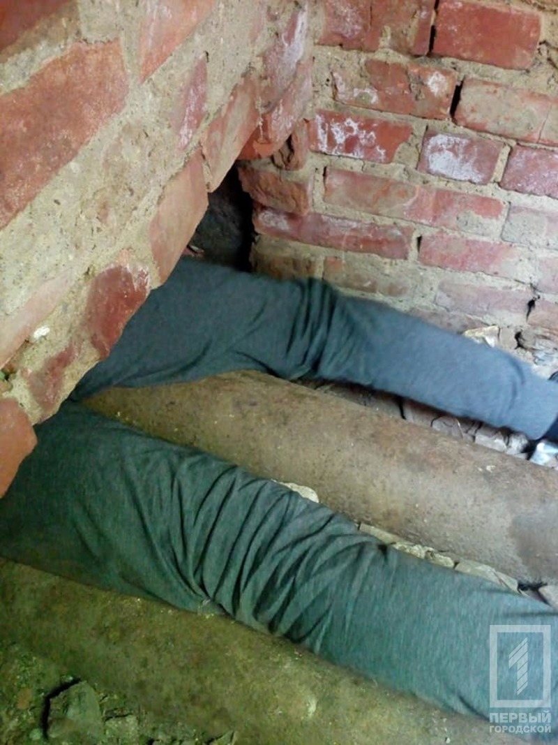 %d1%81%d0%be%d0%b1%d0%b0%d0%ba%d0%b0 %d0%ba%d0%be%d0%bb%d0%be%d0%b4%d0%b5%d1%86