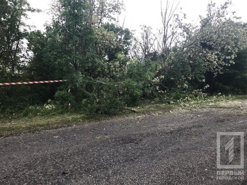 Photo 2019 05 22 10 32 18