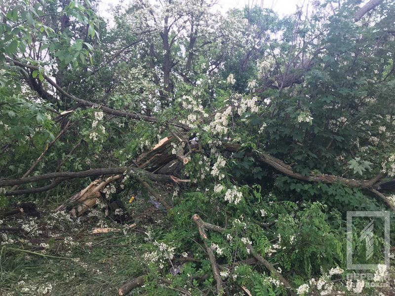 Photo 2019 05 22 10 34 35