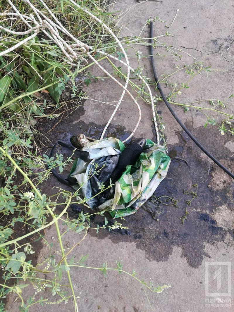 Photo 2019 06 23 20 23 32