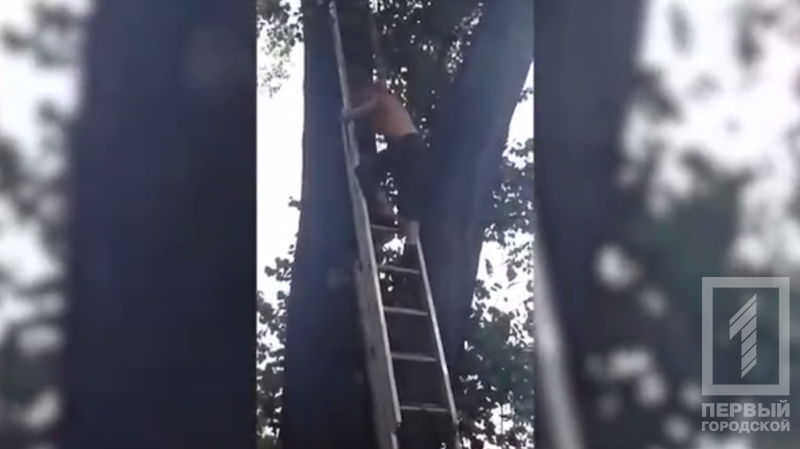 %d0%a1%d0%bd%d0%b8%d0%bc%d0%be%d0%ba3