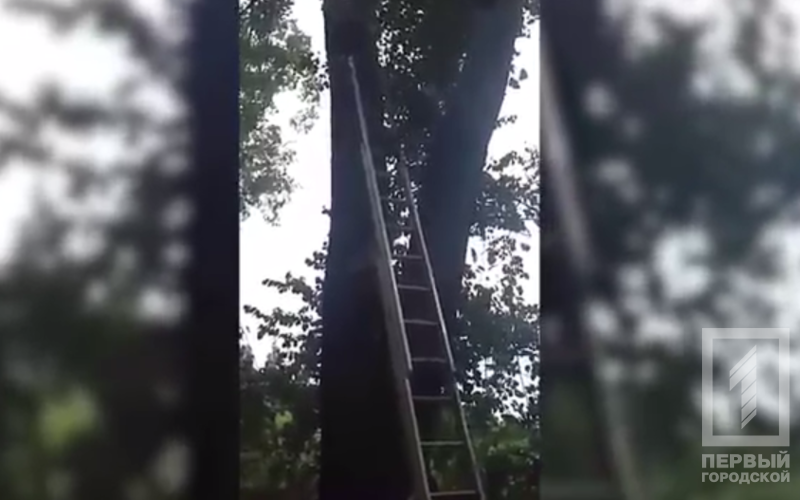 %d0%a1%d0%bd%d0%b8%d0%bc%d0%be%d0%ba2