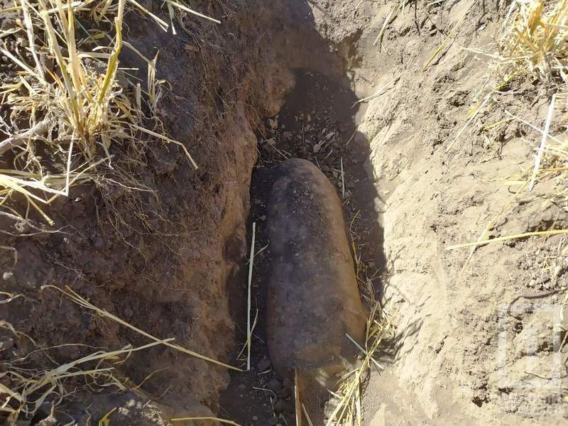 %d1%81%d0%bd%d0%b0%d1%80%d1%8f%d0%b41