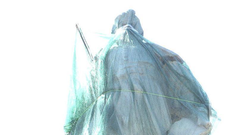 Photo 2019 07 01 15 40 33