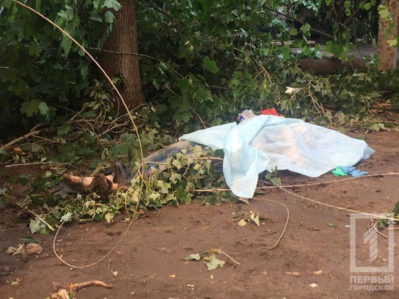 Photo 2019 07 03 08 59 09