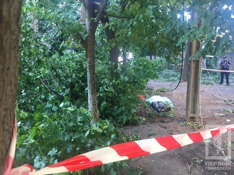 Photo 2019 07 03 09 00 51