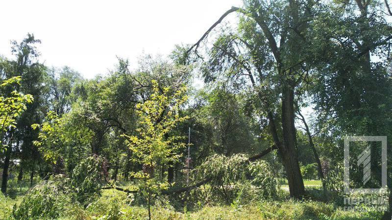 66014689 439827936863694 1232286272534347776 o