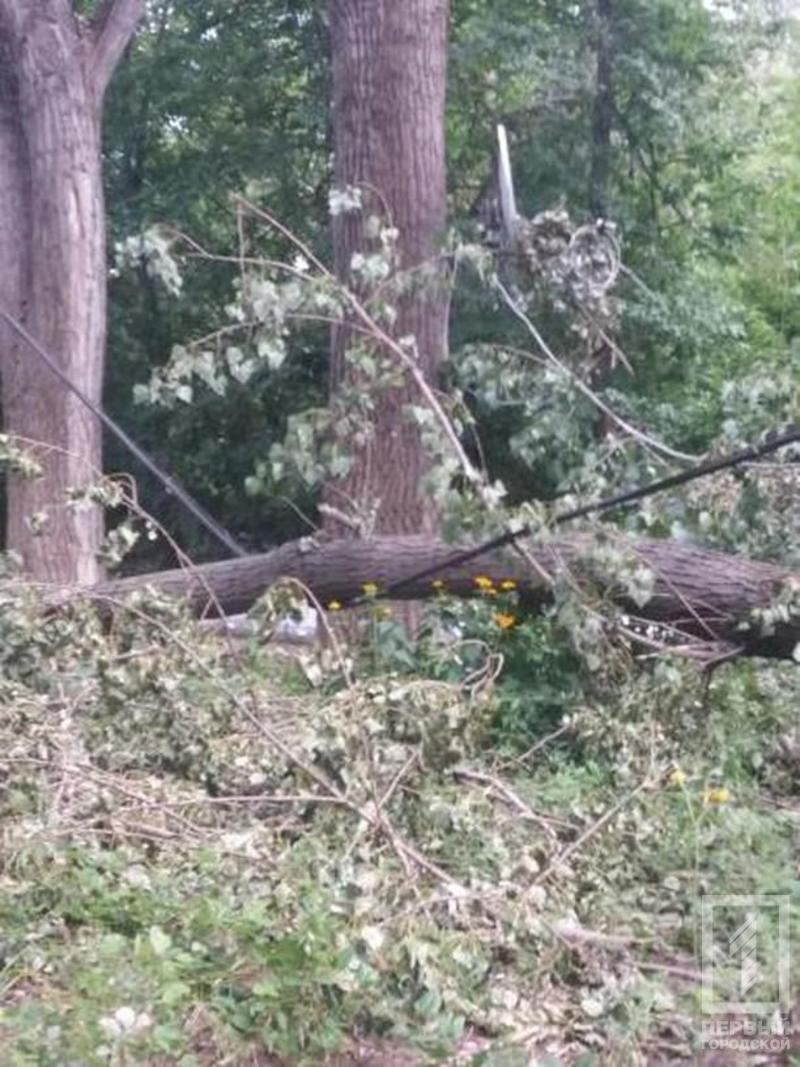 %d0%bf%d1%80%d0%be%d0%b2%d0%be%d0%b4%d0%b0