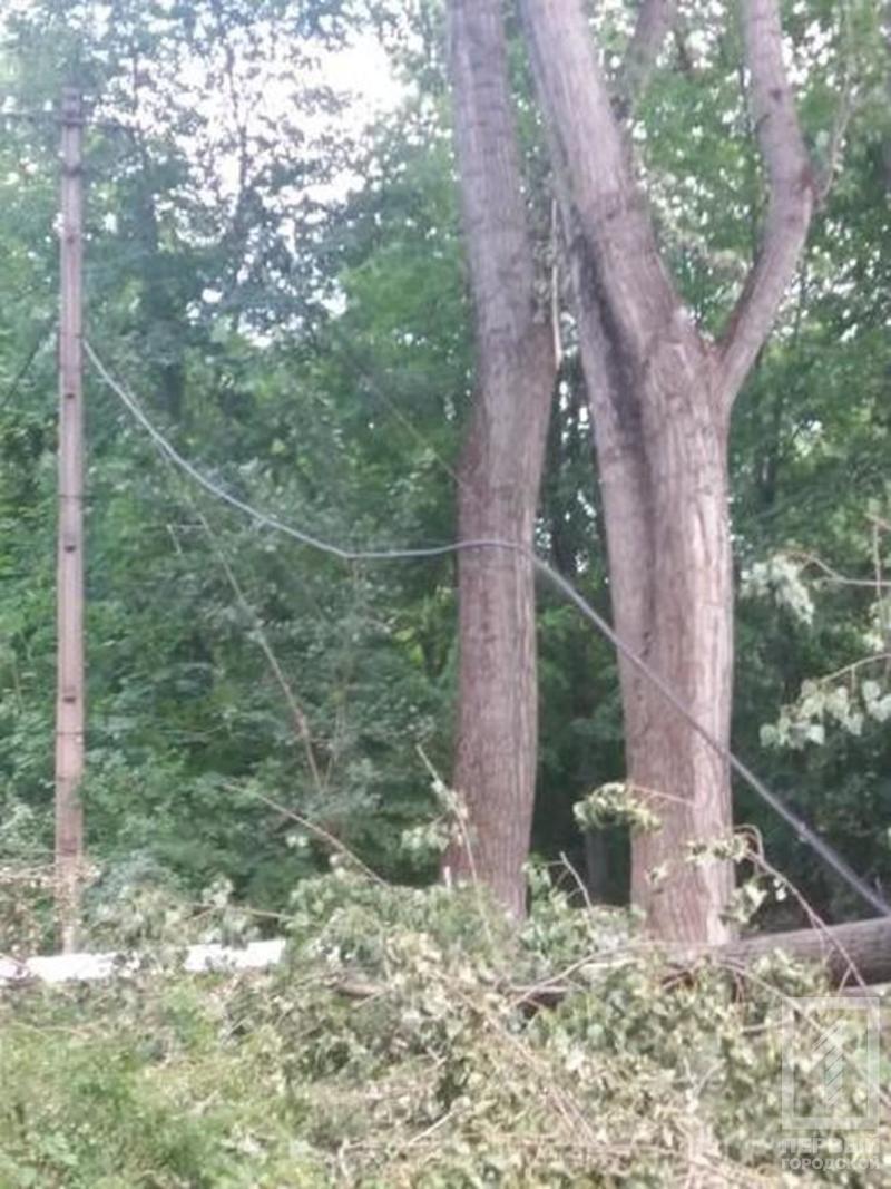 %d0%bf%d1%80%d0%be%d0%b2%d0%be%d0%b4%d0%b01