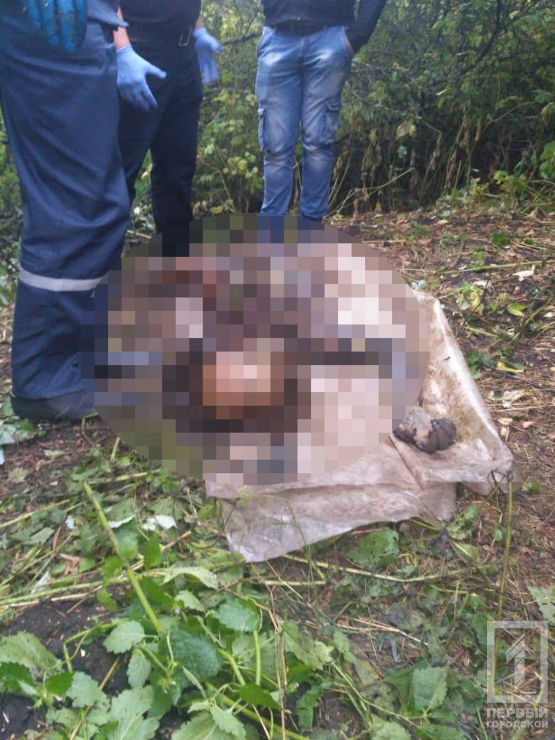 %d1%82%d1%80%d1%83%d0%bf1